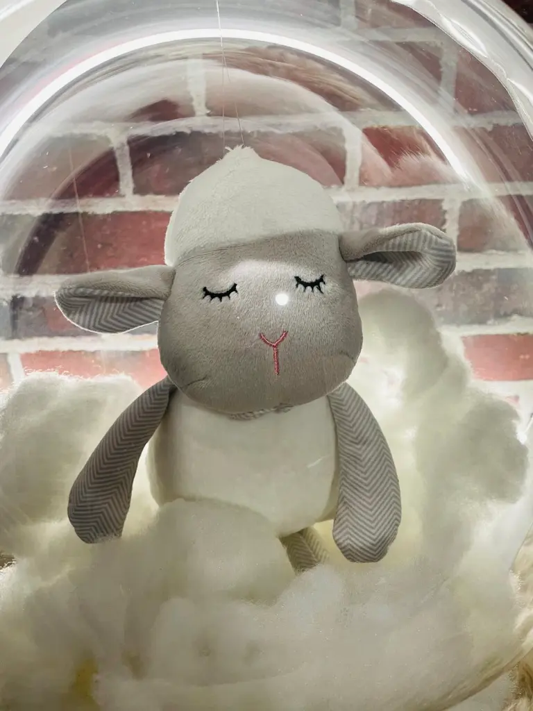 WhatsApp Image 2025-09-12 à 12.45.30_a3a2e022.webp