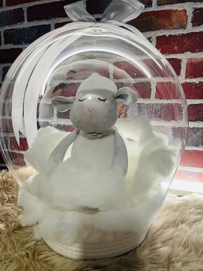 WhatsApp Image 2025-09-12 à 12.45.30_44ba92c1.webp